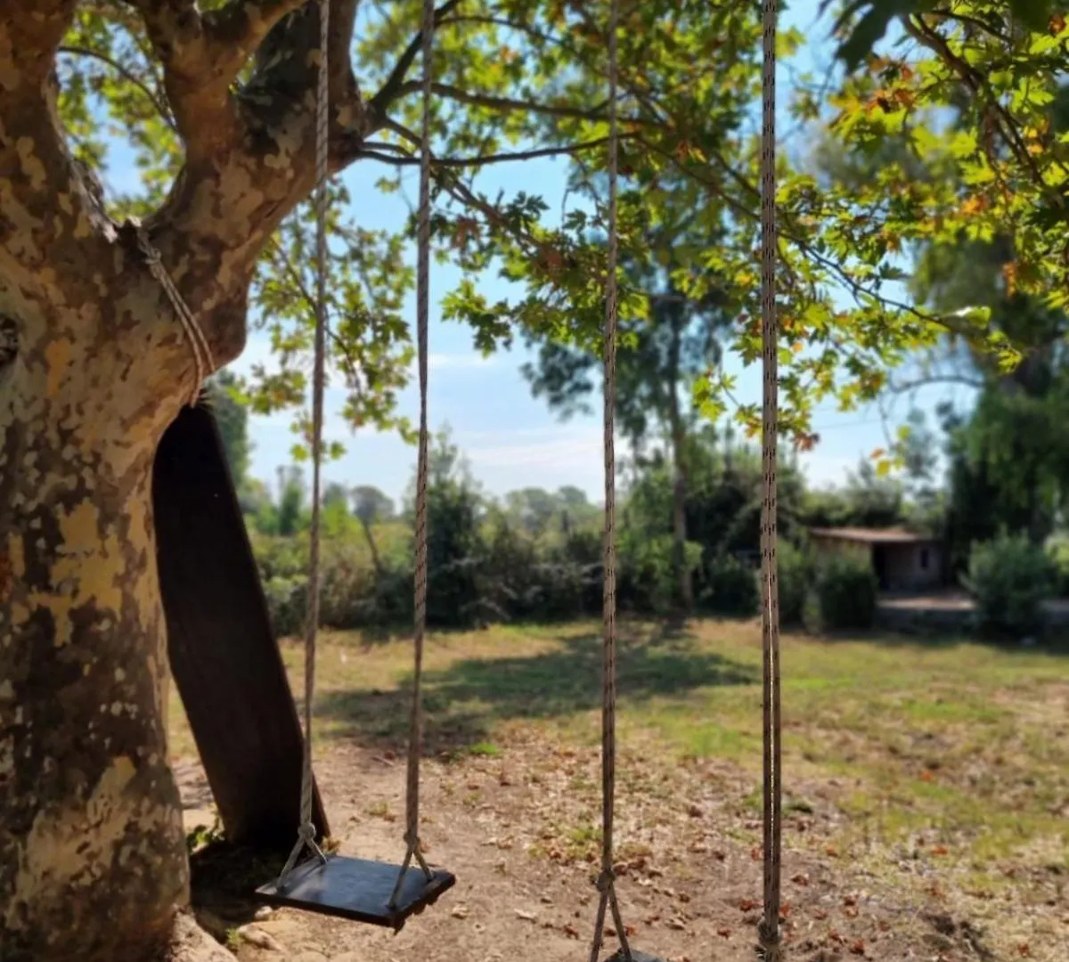 Escuelita Viva Hostel Ostia Antica