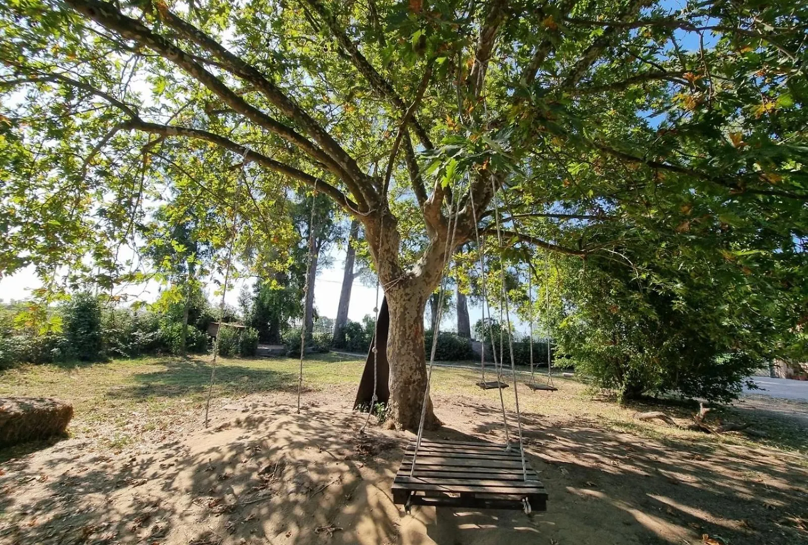 Escuelita Viva Hostel Ostia Antica